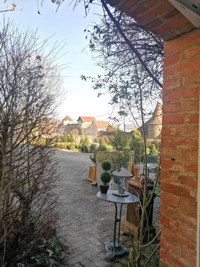 Mini Garni Vendemiaire Apartment Vesoul Bagian luar foto